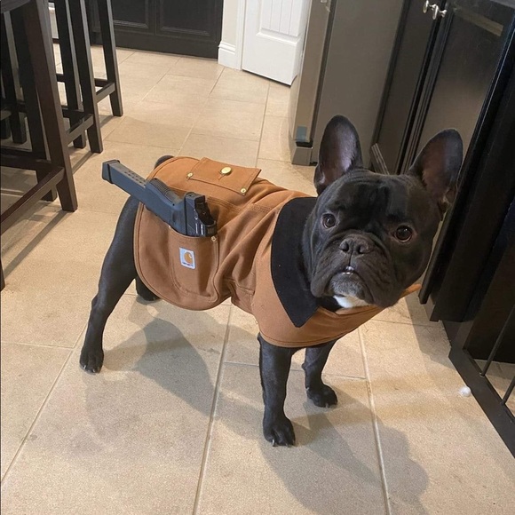 Meet your Posher, Greg - Picture 1 of 1